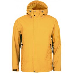 Textiel Heren Wind jackets Sport 2000  Geel