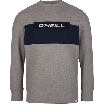 Textiel Heren Sweaters / Sweatshirts O'neill Club Crew Grijs