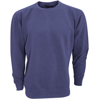 Textiel Heren Sweaters / Sweatshirts Comfort Colors CC1566 Blauw