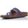 Schoenen Dames Sandalen / Open schoenen Interbios MANDEN  7119 Violet