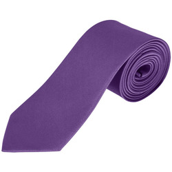 Textiel Stropdassen en accessoires Sols GARNER Morado Oscuro Violet