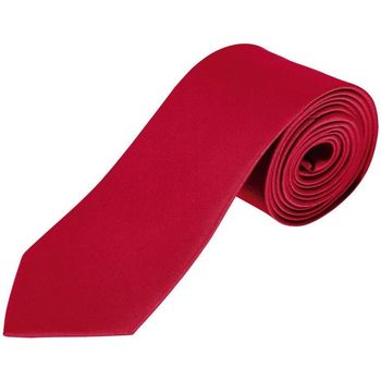 Textiel Heren Kostuums en stropdassen Sols GARNER - CORBATA Rood