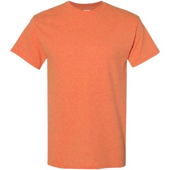 Textiel Heren T-shirts korte mouwen Gildan 5000 Oranje