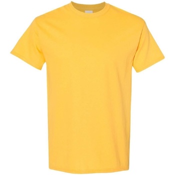 Textiel Heren T-shirts korte mouwen Gildan 5000 Multicolour