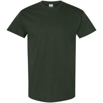 Textiel Heren T-shirts korte mouwen Gildan 5000 Groen