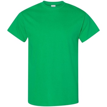 Textiel Heren T-shirts korte mouwen Gildan 5000 Groen