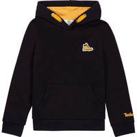 Textiel Jongens Sweaters / Sweatshirts Timberland BAALON Zwart