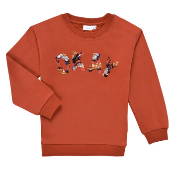 Textiel Meisjes Sweaters / Sweatshirts Name it NKFOCALI LS SWEAT Rood