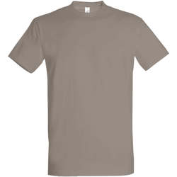 Textiel Dames T-shirts korte mouwen Sols IMPERIAL camiseta color Gris Claro Grijs