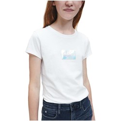 Textiel Meisjes T-shirts korte mouwen Calvin Klein Jeans  Wit
