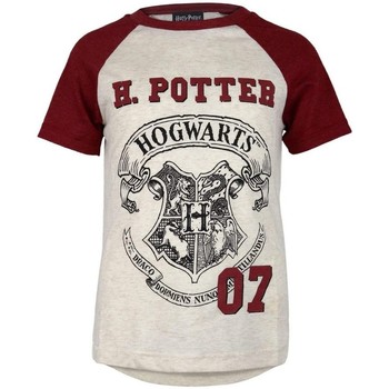 Textiel Meisjes T-shirts met lange mouwen Harry Potter  Multicolour