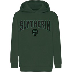 Textiel Jongens Sweaters / Sweatshirts Harry Potter  Groen