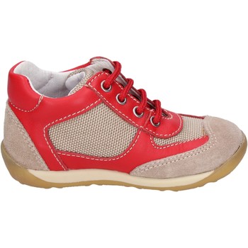 Falcotto BH195 Rood