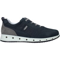 Schoenen Heren Sneakers IgI&CO 7121000 Blauw