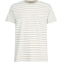 Textiel Heren T-shirts korte mouwen Calvin Klein Jeans K10K107288 Beige