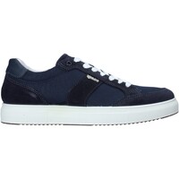Schoenen Heren Lage sneakers IgI&CO 5138800 Blauw