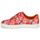 Schoenen Dames Lage sneakers Cosmo Paris HAJIA Roze / Fleur