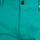Textiel Heren Korte broeken / Bermuda's Tommy Hilfiger DM0DM05444 | TJM Essential Chino Shorts Groen