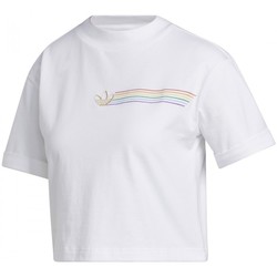 Textiel Dames T-shirts & Polo’s adidas Originals Pride Linear Cr Wit