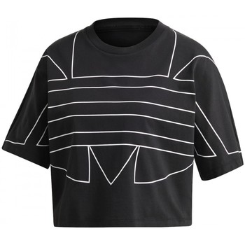 Textiel Dames T-shirts & Polo’s adidas Originals Lrg Logo Tee Zwart