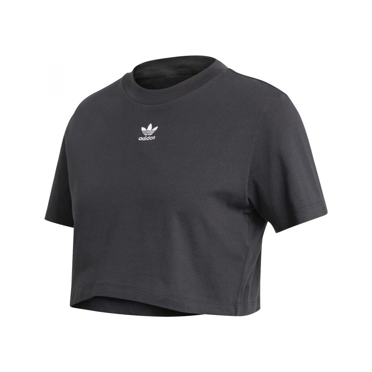 Textiel Dames T-shirts & Polo’s adidas Originals Cropped Tee Zwart