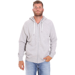 Textiel Heren Sweaters / Sweatshirts Sundek M838JHF4900 Grijs