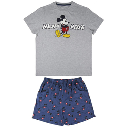Textiel Heren Pyjama's / nachthemden Disney 2200004974 Grijs
