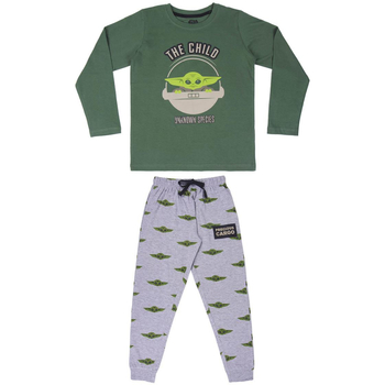 Textiel Kinderen Pyjama's / nachthemden Disney 2200007123 Groen