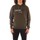 Textiel Heren Sweaters / Sweatshirts Calvin Klein Jeans K10K107168 Groen