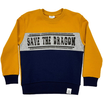 Textiel Kinderen Sweaters / Sweatshirts Naturino 6001021 01 Blauw
