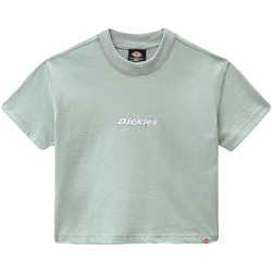 Textiel Dames T-shirts korte mouwen Dickies DK0A4XBAB871 Groen