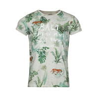 Textiel Heren T-shirts korte mouwen Deeluxe BALI TS M Grijs / Clair / Multicolour