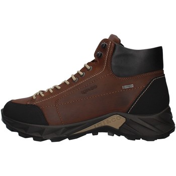 Schoenen Heren Hoge sneakers IgI&CO 8140222 Bruin