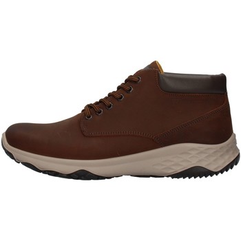 Schoenen Heren Hoge sneakers IgI&CO 8119511 Bruin