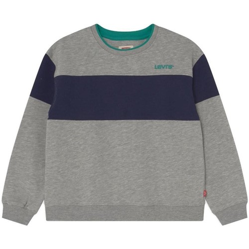Textiel Jongens Sweaters / Sweatshirts Levi's  Grijs
