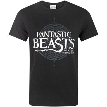 Textiel Heren T-shirts met lange mouwen Fantastic Beasts And Where To Fi  Zwart