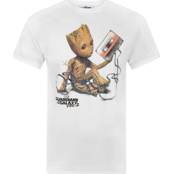 Textiel Heren T-shirts korte mouwen Guardians Of The Galaxy  Wit