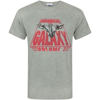 Textiel Heren T-shirts korte mouwen Guardians Of The Galaxy  Grijs