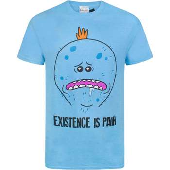 Textiel Heren T-shirts met lange mouwen Rick And Morty  Blauw