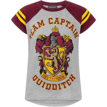 Textiel Meisjes T-shirts met lange mouwen Harry Potter  Multicolour