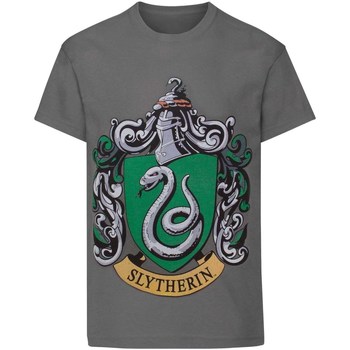 Textiel Jongens T-shirts korte mouwen Harry Potter  Grijs