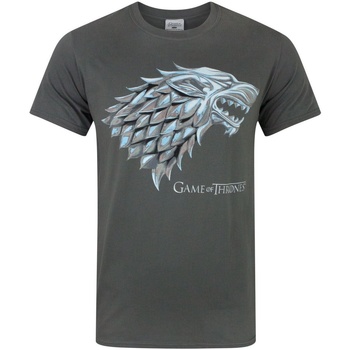 Textiel Heren T-shirts met lange mouwen Game Of Thrones  Grijs