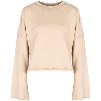 Textiel Dames Sweaters / Sweatshirts Champion  Beige