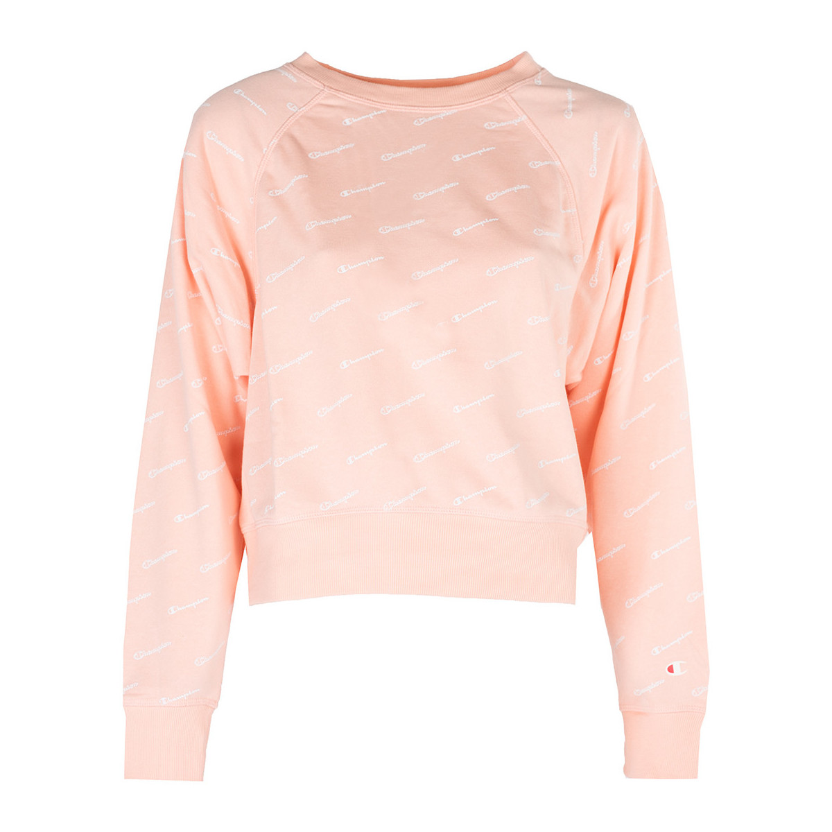 Textiel Dames Sweaters / Sweatshirts Champion 111277 Roze