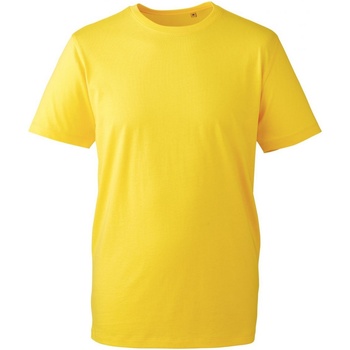 Textiel Heren T-shirts korte mouwen Anthem AM010 Multicolour