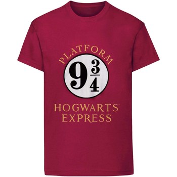 Textiel Kinderen T-shirts korte mouwen Harry Potter  Multicolour