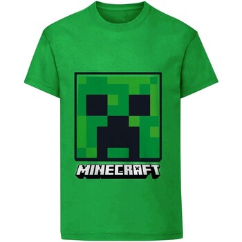 Textiel Kinderen T-shirts korte mouwen Minecraft  Groen