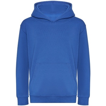 Textiel Jongens Sweaters / Sweatshirts Awdis JH201B Blauw