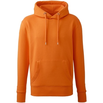 Textiel Heren Sweaters / Sweatshirts Anthem AM01 Oranje