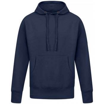 Textiel Heren Sweaters / Sweatshirts Casual Classics  Blauw